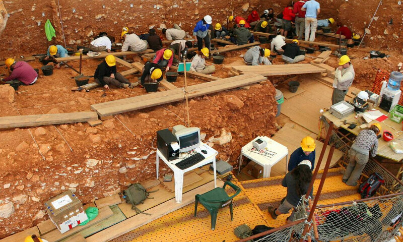 Spain: 850,000-year-old bones reveal cannibalism