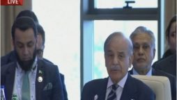 PM Shehbaz Sharif highlights climate threats, Israeli and Indian aggression at 16th ECO Summit