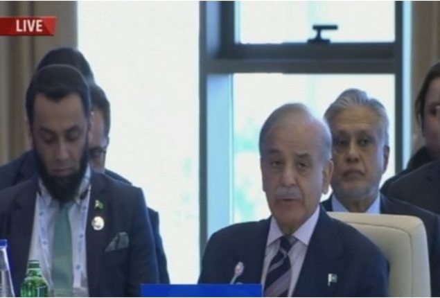 PM Shehbaz Sharif highlights climate threats, Israeli and Indian aggression at 16th ECO Summit