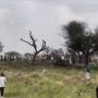 IAF fighter jet crashes in India’s Rajasthan