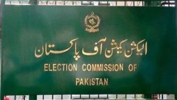 ECP
