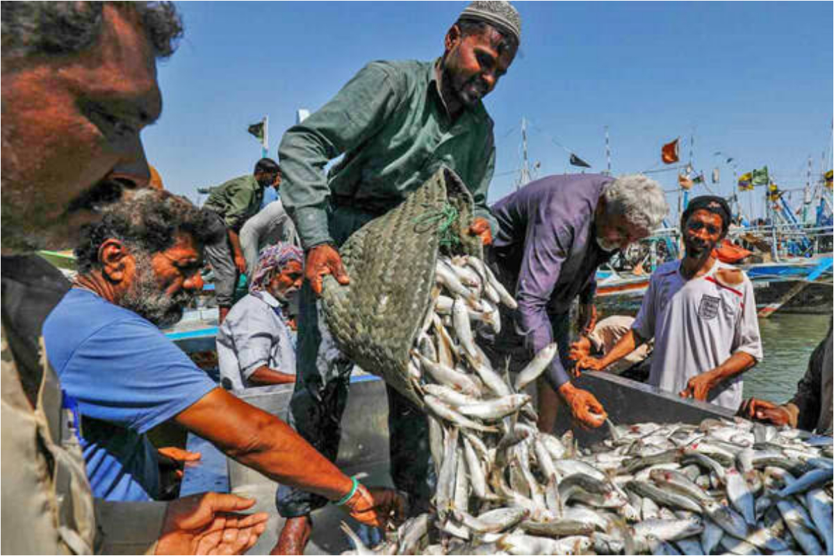 Pakistan sees boost in Seafood exports, Hits $465 Million