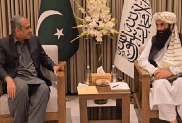 Pakistan and Afghanistan agree on joint strategy, “Terrorist Organizations Must Stopped Together”