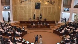 KPK senate elections, Unofficial result announced