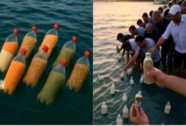 Egyptian man throws food into Sea for Gaza, Sparking global emotion