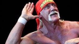 Wrestling champion Hulk Hogan dies at 71