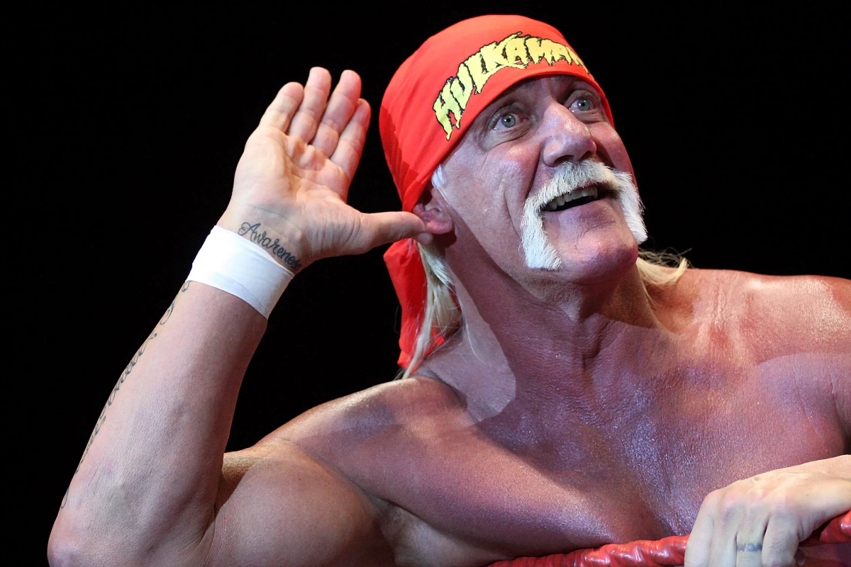 Wrestling champion Hulk Hogan dies at 71