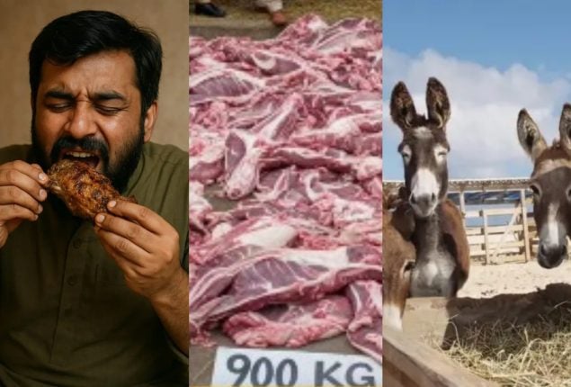 Donkey meat in the market again? People in Islamabad are consuming it in large amount!