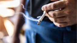 Punjab imposes complete ban on smoking in parks and gardens