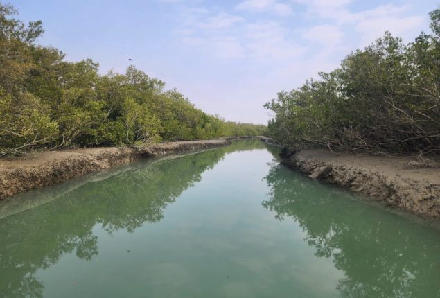 ‘Miani Hor’