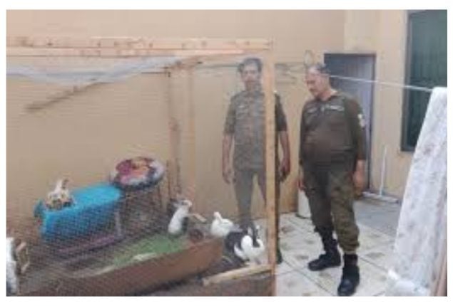Lahore Woman Arrested for Brutal Animal Torture in Defence