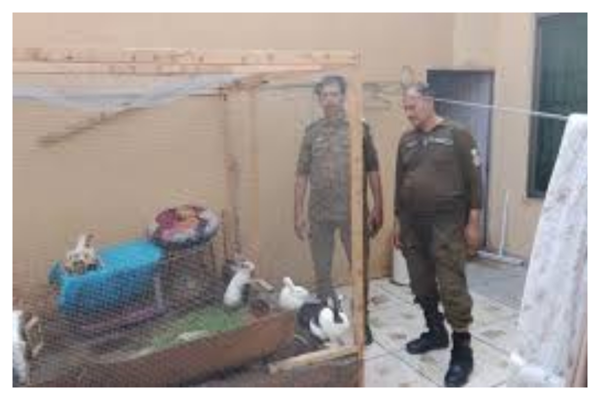 Lahore Woman Arrested for Brutal Animal Torture in Defence