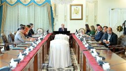 PM Shehbaz chairs high-level meeting on polio eradication
