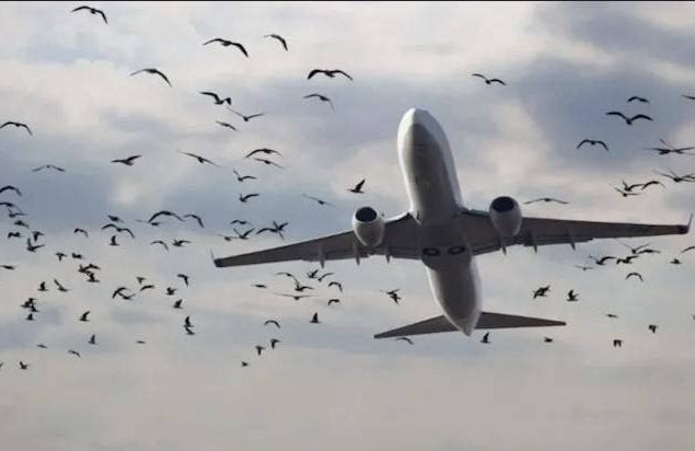 Wings over Karachi, PAA issues warning to Pilots