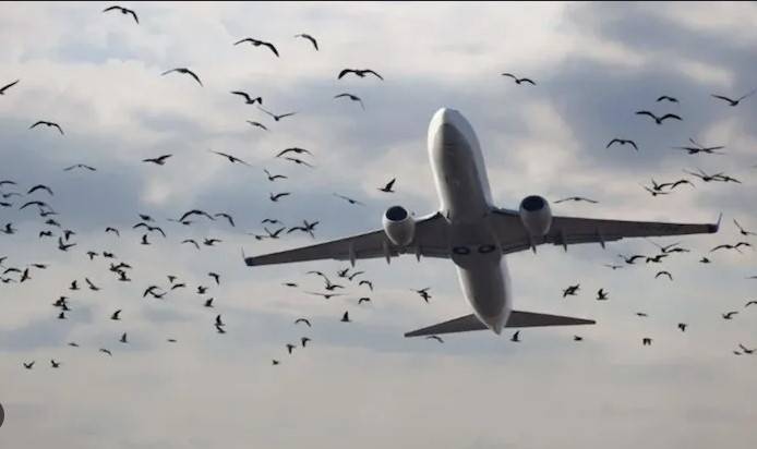 Wings over Karachi, PAA issues warning to Pilots
