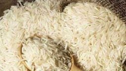 Pakistan’s rice export overview for FY 2024-25