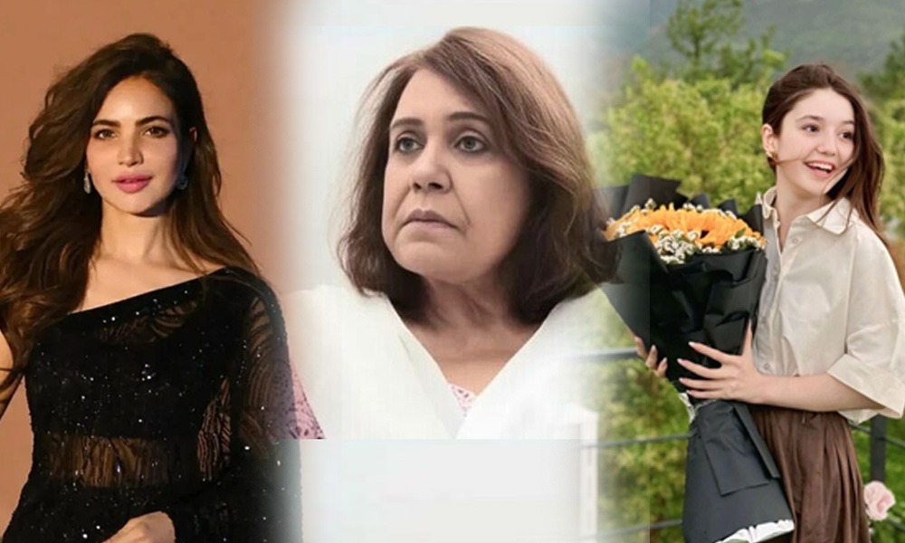 Silent departures of Pakistani showbiz in 2025