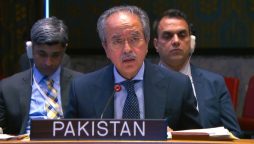 Gaza's tragedy highlights the violation of international laws, Asim Iftikhar