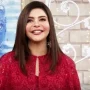Nida Yasir’s tip to ‘Control Men’ sparks online debate