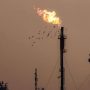 Oil Updates —Summer demand expectations push prices higher despite economic concerns