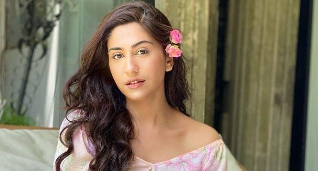Naeema Butt’s sarcastic video on drama industry sparks online debate