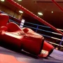 Sindh Green and Punjab win inaugural U22 Inter-Provincial boxing championship