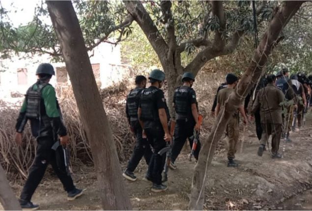 Five cops