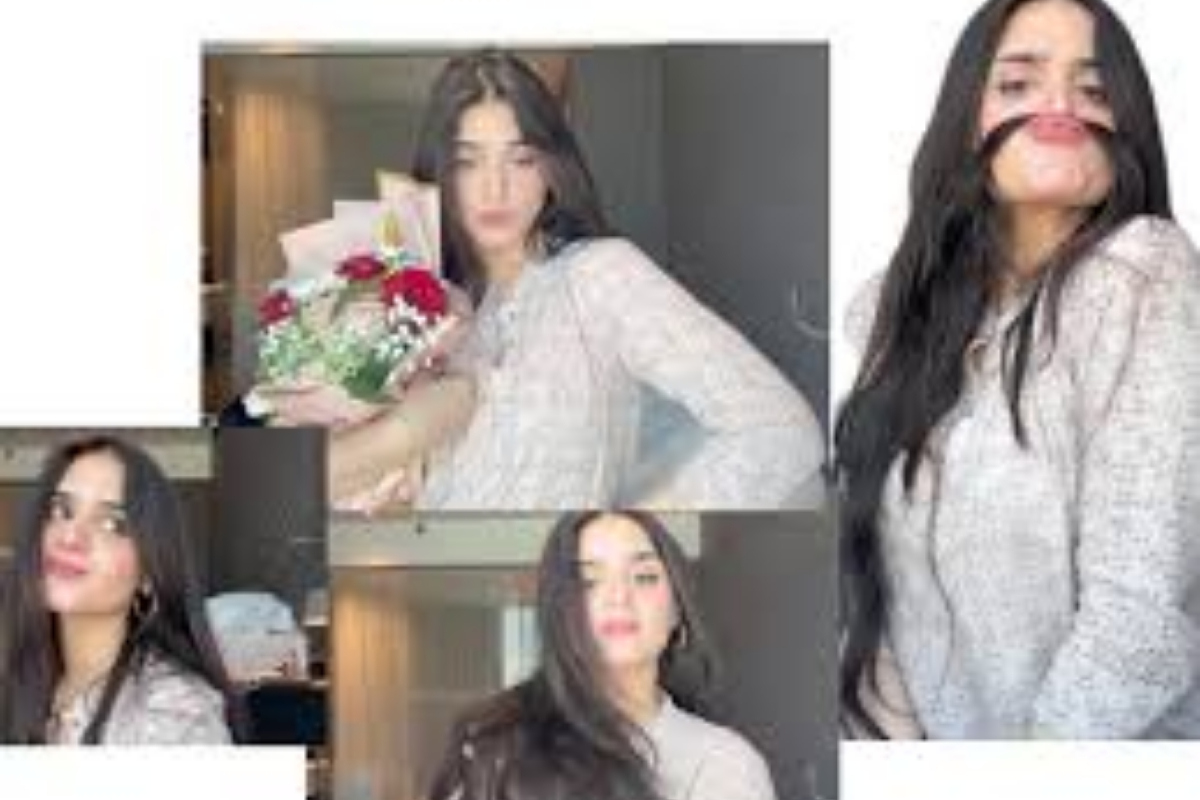 luxury doesn't change life, Hira Mani's post goes viral