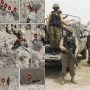 33 terrorists killed in major operation near Pak-Afghan border, ISPR