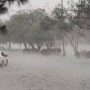 Heavy Rains Forecast Across Pakistan from August 29 to September 2
