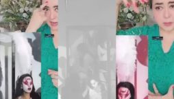 Maria B exposes shocking LGBTQ private party in Lahore, question authorities
