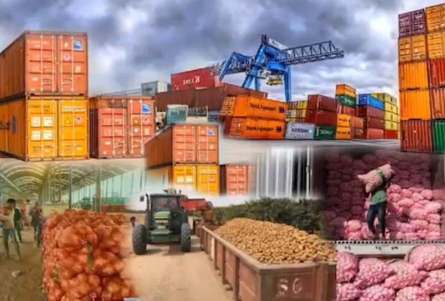 Experts call for policy support, Reforms to boost food exports