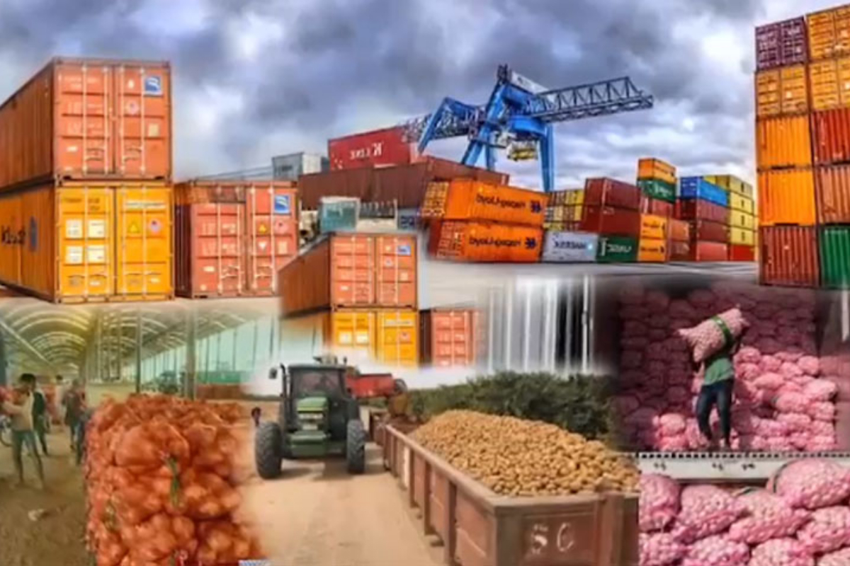 Experts call for policy support, Reforms to boost food exports