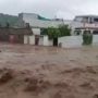 Heavy monsoon rains lash Punjab, submerging low-lying areas