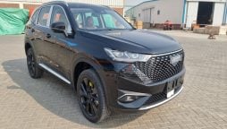 Haval H6 PHEV introduced in Pakistan: Check price and features