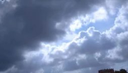 Light rain
