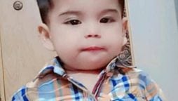 Toddler