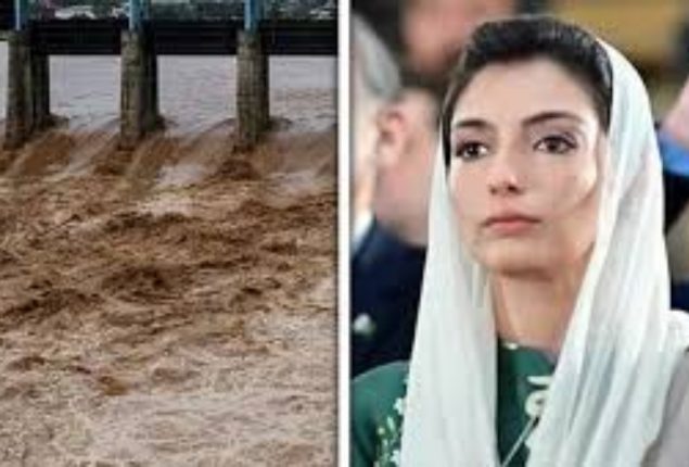 Aseefa Bhutto voices concern over severe flood situation in Punjab