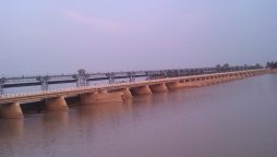 PDMA