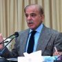 PM Shehbaz initiates strategy for construction of water reservoirs