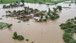 Punjab Rivers witness Unusual Flooding Situation