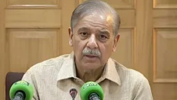 Pakistan Among Most Affected Countries By Climate Change, PM Shehbaz Sharif