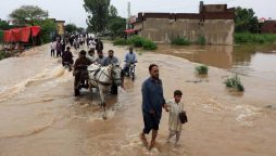 Flood devastation in Punjab: Villages submerged, Millions displaced, 7 dead