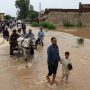 Flood devastation in Punjab: Villages submerged, Millions displaced, 7 dead