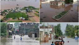 High-level flooding in Punjab rivers: Several cities submerged, educational institutions closed