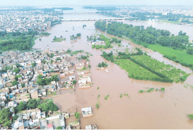 Drowning Punjab