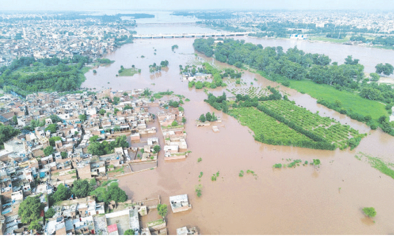 Drowning Punjab