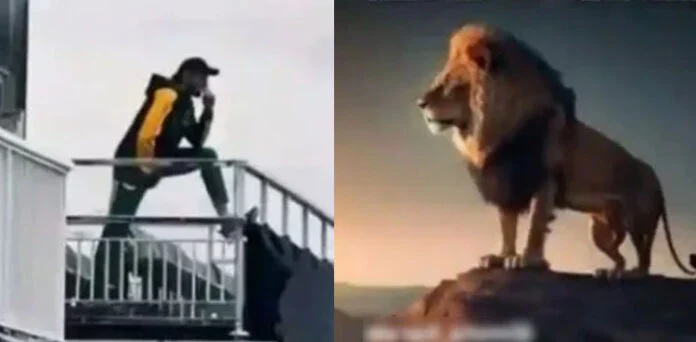 Shahid Afridi's 'Lion King' pose goes viral