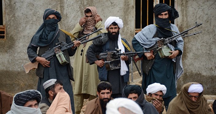 Khawarij militants wage war on education and unity in South Waziristan