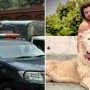 Lahore TikToker arrested in €200,000 fraud case